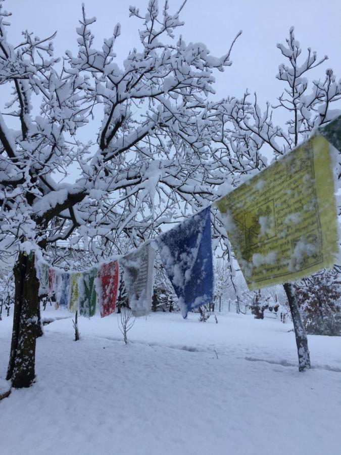 Happy Hill - Appartamento Quercia - Natura E Relax Santa Maria Rocca Exterior foto
