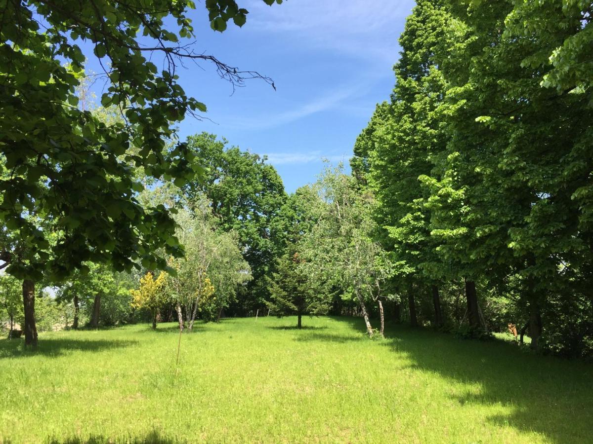 Happy Hill - Appartamento Quercia - Natura E Relax Santa Maria Rocca Exterior foto