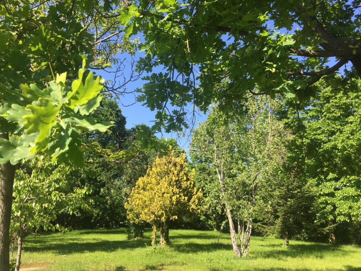 Happy Hill - Appartamento Quercia - Natura E Relax Santa Maria Rocca Exterior foto